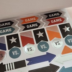 NEW Paper House Life Organized Planner Sticker Book Sports 260 Pcs 4 pgs -C