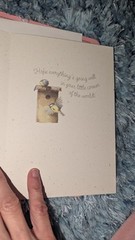 Vintage Hallmark Marjolein Bastin Greeting Card And Ad Birdhouse Birds Hi