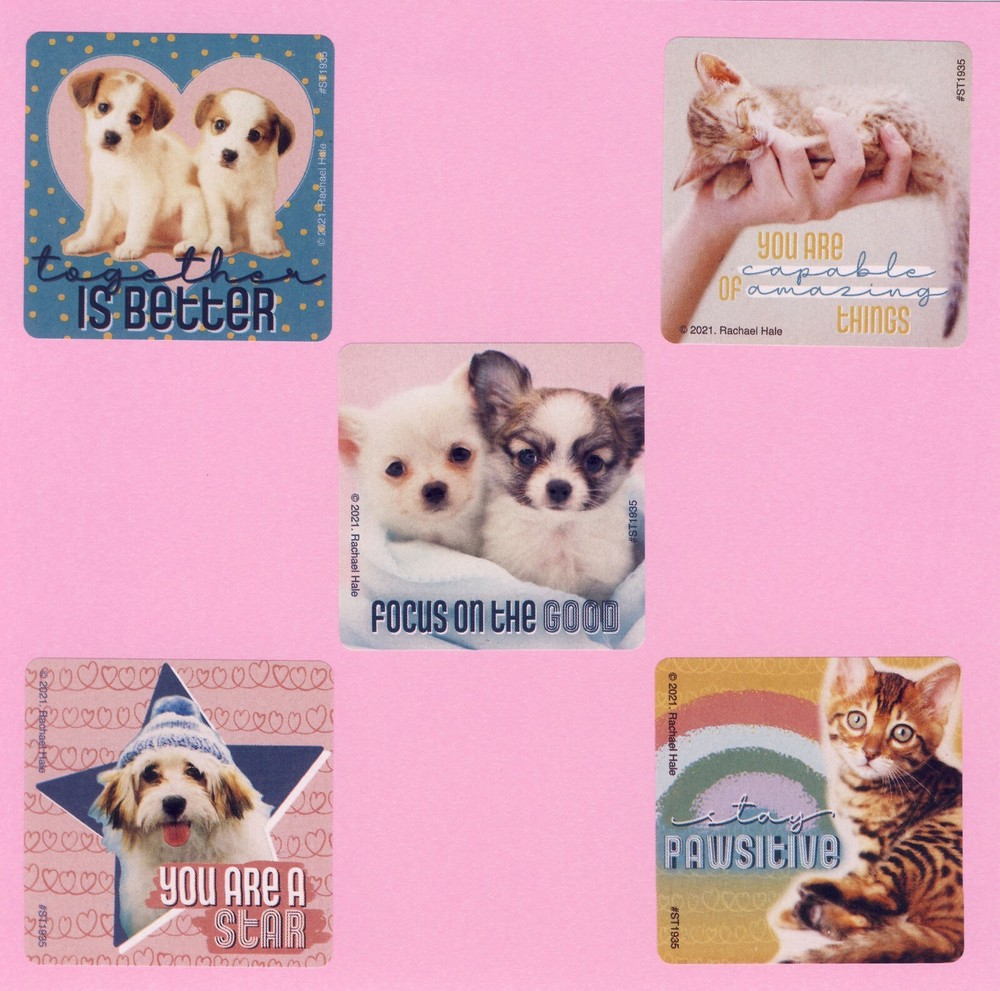 10 Rachael Hale Humane Society Large Stickers – Puppy, Dog, Cat, Kitten
