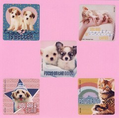 10 Rachael Hale Humane Society Large Stickers – Puppy, Dog, Cat, Kitten