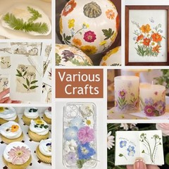 48 Pcs Natural Dried Pressed Flowers for Resin Jewelry, Crafts & Decor, Multicol