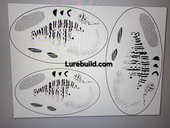 Flat Sheet Stencils: Baitfish Card Sets