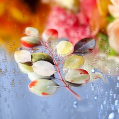 20Pcs Vintage Flowers Stickers Rose Scrapbook Sticker Junk Journal Card Crafts