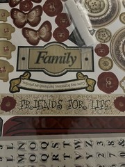 Black Shadowbox Scrapbooking. Glass Front.