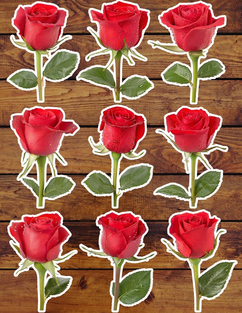 Red Rose Die Cut Vinyl Stickers Set Scrapbooking Laptop Waterbottle