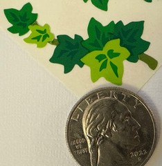 GREEN IVY Stickers(3pc) Mrs.Grossman’s…Garden…Plant…Climbing Branch…Card Making…
