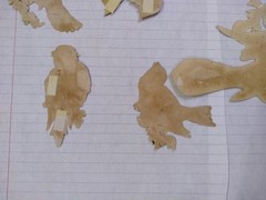 beautiful bird lot birds diecuts die cuts old vintage or antique scrapbooking