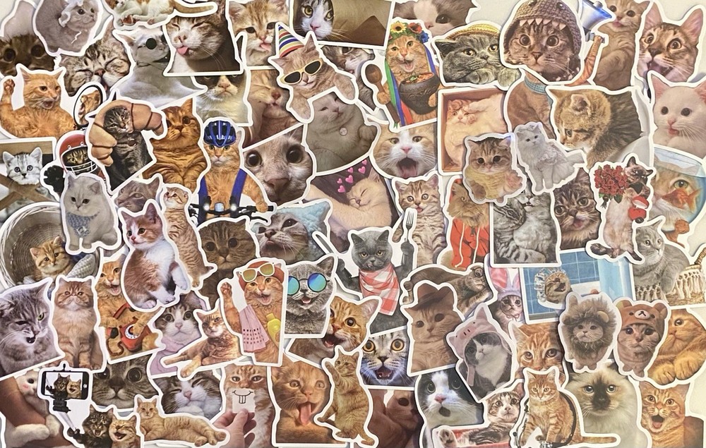 199 Funny Cat Stickers Cute Silly Costumes 1″-3″ Decals No Repeats See Both Pics
