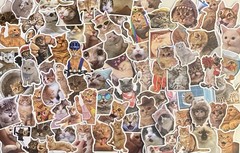 199 Funny Cat Stickers Cute Silly Costumes 1″-3″ Decals No Repeats See Both Pics