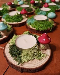 Natural Wood Slices 30 Pcs 3.5-4 Inches Craft Unfinished Wood Kit Predrilled …