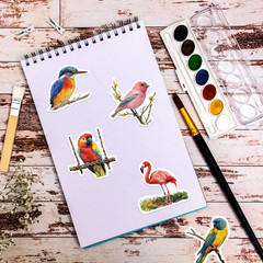 50Pcs Vintage Watercolor Bird Stickers – Aesthetic Nature Wildlife Stickers for