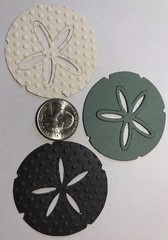 LG. SAND DOLLAR Die-Cuts(6pc)Beach •Shells•Ocean•Star•Sea•Shore•Sand Creatures