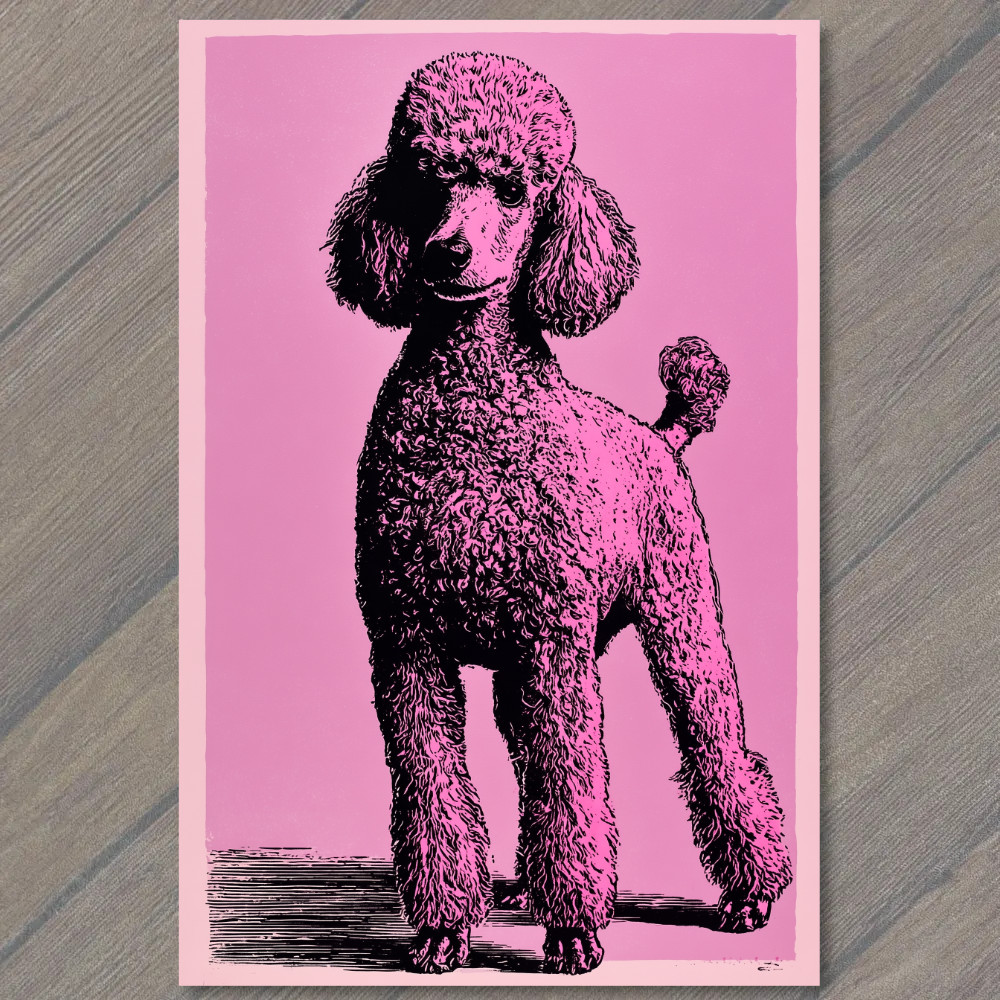 STICKER Poodle Pink Background Standing Dog Black Line Drawing Retro Graphic