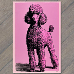 STICKER Poodle Pink Background Standing Dog Black Line Drawing Retro Graphic