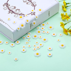 50 Pcs Resin Daisy Flower Flatback Beads Craft Charms DIY Decoration Set