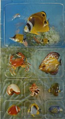 TROPICAL FISH #2 Dimensional Pop-Up Sticker(9pc)Ocean •Crab•Seashells•Tang Fish