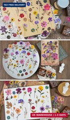 Knaid Pressed Flower Themed Stickers Set (320 Pieces) Dried Flowers Resin Sticke