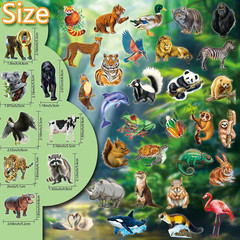 100 Pcs Transparent Animal Stickers – Jungle Wild Safari Zoo Theme