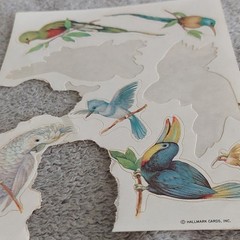 Vintage 1980s Hallmark Tropical Birds Scrapbooking Stickers (1.5 )Sheet Lot