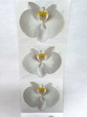 Mrs. Grossman’s White Orchid Stickers Scrapbooking Cardmaking