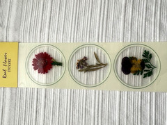 Real Pressed Flower Stickers Scrapbooking Junk Journaling 7 Unopened Packs