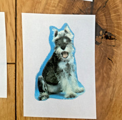 Vintage 80s Sticker Lot: Restored Adorable Puppy Kitten Stickers (READ)