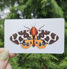 Insect Stickers SET OF 6 – Original Artwork by Ashley Dean | Bug Stickers