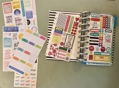 HUGE Lot of Happy Planner Stickers Over 140 Pages Of Stickers & 2 Binders