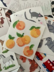 ♡ 5 Mods Sandylion FUZZY Mix Grab Mystery Vintage Stickers Random ♡