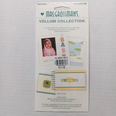 Mrs. Grossman’s Vellum Collection Green Giant Velum Ferns Stickers – 3 Sheets