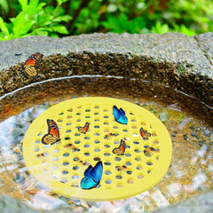 Floating Bee Watering Stations 7.87 Inch Foam Honeycomb Design Bee Feeder for
