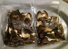 Metallic Gold Heart Die Cut,Punchies, Embellishments- Scrapbooking, Craft 2.3 OZ