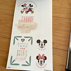 The Happy Planner – Disney – Mickey & Minnie Mouse Calendar Stickers 2