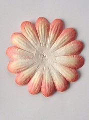 10 Flowers flower petals Apricot Peach Salmon handmade mulberry paper Daisy