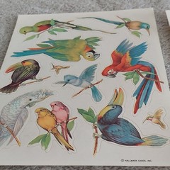 Vintage 1980s Hallmark Tropical Birds Scrapbooking Stickers (1.5 )Sheet Lot