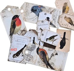 Vintage Bird Tags and Cards – Set of 13 – 443