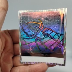 Vtg Scholastic Holographic Sticker Tarantula Spider Web Property Of Book Plate
