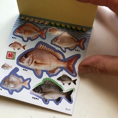 FISH Japanese Stickers book 274 stickers Shogakkan NEO Book Series