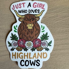 HIGHLAND COWS, 50 stickers, animals, cute, mini cow, decal