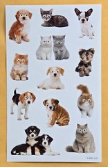 Dogs and Cats Sticker Sheet