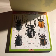 Beetle and Stag Beetle Japanese Stickers book 275 Stickers Shogakkan Neo