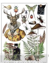 Ephemera Enclave Rub-on Transfer 3 Sheets 8.5”x11” – Redesign With Prima