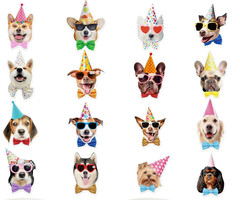 🐶 Funny PARTY HAT DOG STICKERS birthday everyday puppy animal BOW TIE 🐶