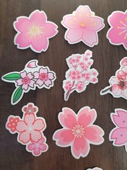 STICKERS x 10 Flowers Pink Cherry Blossom Orchid Tree Sticker CHE5