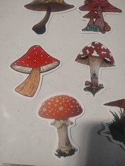Mushrooms Theme Stickers for Scrapbooking, Multicolor Decorative Sticker Set
