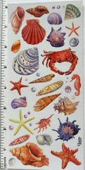 Violette Stickers Realistic Seashells Sea Life Crafts Planner Supply Scrapbook