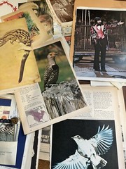 50+ Vintage Ephemera&Book Pages Junk Journal Art Crafts Scrap Fabrics Mystery