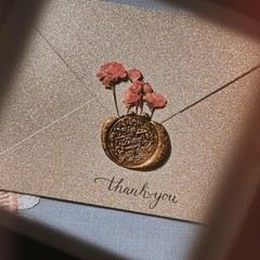 8 Types Real Dried Pressed Rose Flowers Plant Herbarium for Craft Mini