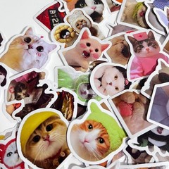 Cute Cat Sticker For packaging Random 2pc NEW from Japan 2枚セット　ステッカー　シール　かわいい