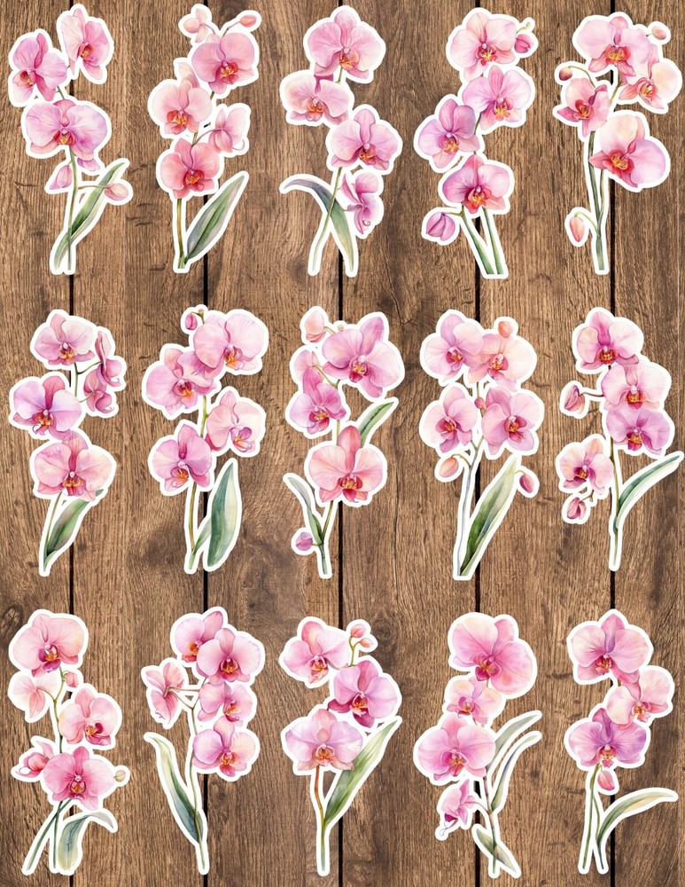 Orchid Flower Die Cut Vinyl Stickers Set Scrapbooking Laptop Waterbottle